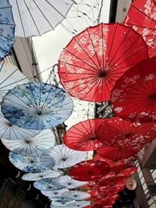 桐島 りゅう|札幌市 すすきののニュークラブ|凛()