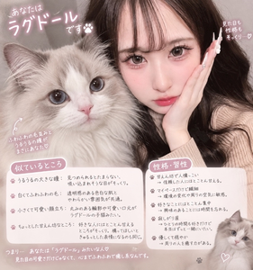 真白 あい|柏市 柏のキャバクラ|BECAUSE(ビコーズ)