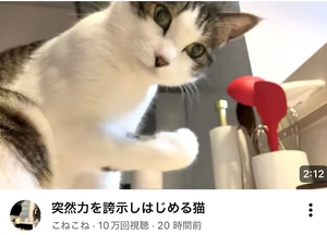 ヴィヴィ|長崎市 本石灰町のコンカフェ|Candy made(キャンディーメイド)