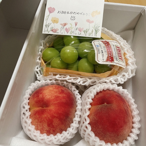 智華|都城市 牟田町のキャバクラ|Jardin(ハルディン)