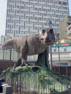 あい|小山市 駅東通りのキャバクラ|CIEL(シエル)