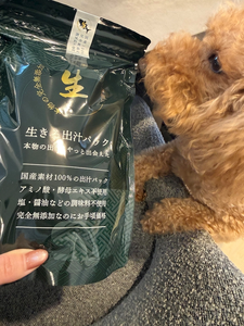 美波 あいか|札幌市 すすきののニュークラブ|FILLIA(フィリア)