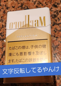 紫音|越谷市 南越谷のキャバクラ|Ammon(アモン)
