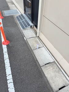 せら|船橋市 本町のキャバクラ|Donfin(ドンフィン)
