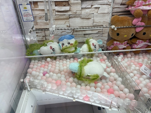 るな|船橋市 本町のキャバクラ|Donfin(ドンフィン)