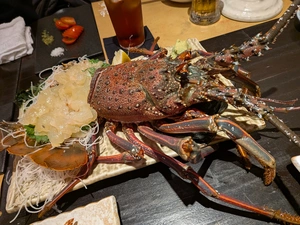 さくら|高知市 帯屋町のキャバクラ|LUCIA(ルチア)