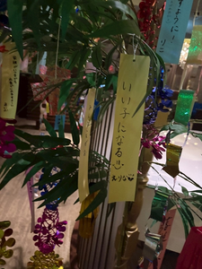 えりな|都城市 牟田町のキャバクラ|Jardin(ハルディン)