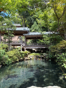 まい|船橋市 西船のキャバクラ|西船橋 Vellugue(西船橋 ヴェルージュ)
