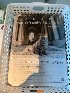 西園寺 ゆきみ|札幌市 中央区南のニュークラブ|Leicester(レスター)