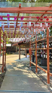 朝比奈 雅|鹿児島市 山之口町のキャバクラ|HANARE(ハナレ)