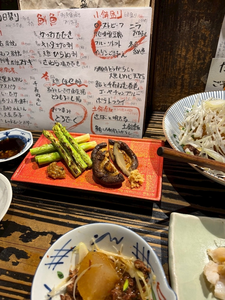 えり|船橋市 本町のキャバクラ|Donfin(ドンフィン)