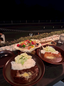 ふうか|船橋市 本町のキャバクラ|Donfin(ドンフィン)