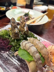 佐野 エマ|札幌市 中央区南のニュークラブ|Leicester(レスター)