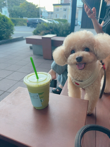 夏目 梨仔|札幌市 すすきののニュークラブ|凛()