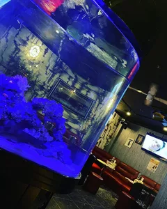 花京院典明|宇都宮市 宿郷のキャバクラ|New Club Yellow(ショップチェック イエロー)