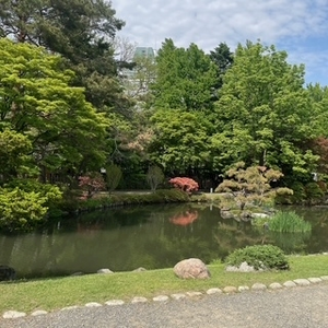 成海 まお|札幌市 すすきののニュークラブ|凛()
