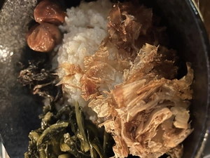 桜井 ちひろ|三島市 一番町のガールズバー|どれみ・カフェ(ドレミカフェ)