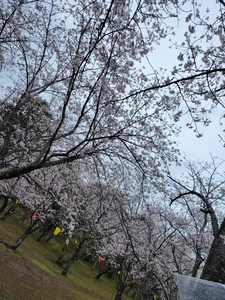 れおな|長崎市 船大工町のガールズバー|Gradation(グラデーション)