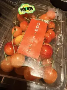 白石 愛莉|旭川市 3条通りのニュークラブ|THE PENTHOUSE(ザ ペントハウス)