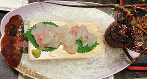 智華|都城市 牟田町のキャバクラ|Jardin(ハルディン)