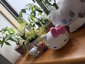 かえで|長崎市 銅座町のガールズバー|G291(ジーニクイチ)