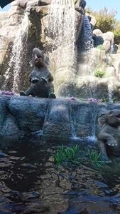 成海 まお|札幌市 すすきののニュークラブ|凛()