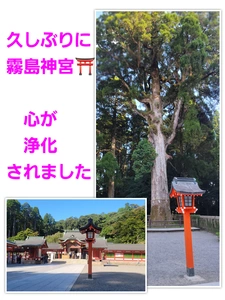 美穂|霧島市 国分中央のキャバクラ|Les Ailes(レゼル)