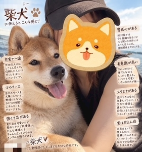 成海 まお|札幌市 すすきののニュークラブ|凛()