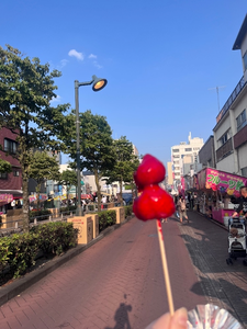 ミノリ|さいたま市 大宮区仲町のキャバクラ|ai(アイ)