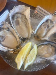 ゆうな|都城市 牟田町のキャバクラ|Bell(ベル)