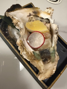 のぞみ|福岡市 博多区中洲のキャバクラ|SEA STYLE(シー スタイル)