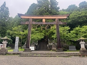 白咲 澪|札幌市 すすきののニュークラブ|FILLIA(フィリア)