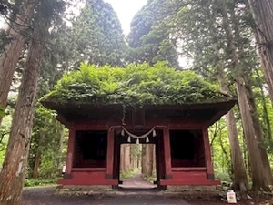 白咲 澪|札幌市 すすきののニュークラブ|FILLIA(フィリア)