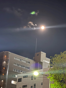 神崎 蘭|札幌市 中央区南のニュークラブ|Leicester(レスター)