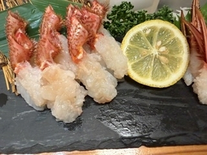 成海 まお|札幌市 すすきののニュークラブ|凛()