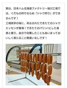 ひな|旭川市 3条通のラウンジ|Kirameki(キラメキ)