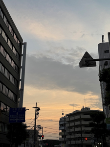 せいか|船橋市 本町のキャバクラ|Donfin(ドンフィン)