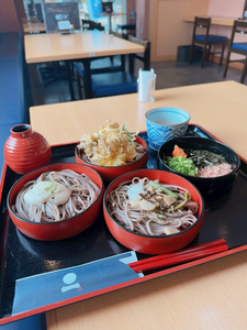 夏目 梨仔|札幌市 すすきののニュークラブ|凛()