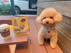 夏目 梨仔|札幌市 すすきののニュークラブ|凛()