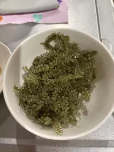 神永 莉聖|函館市 本町のニュークラブ|Loop(ループ)