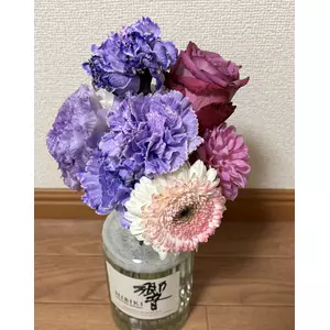 紫音