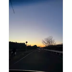 せいか