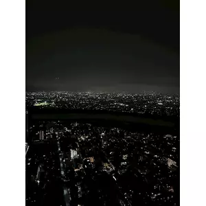 せいか