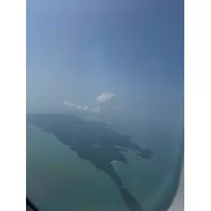 せいか
