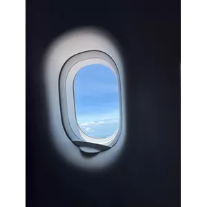 せいか