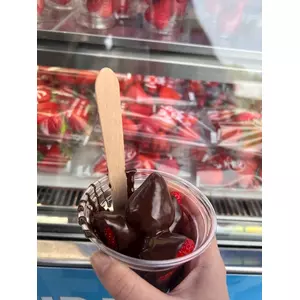 ヴィヴィ