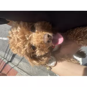 にも
