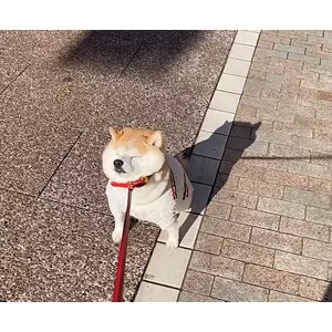 ゆな