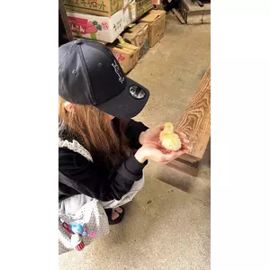 白咲 なのは