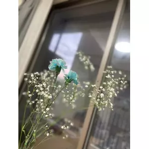 ある